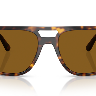 Ray-Ban RB2213 902/33 Havana