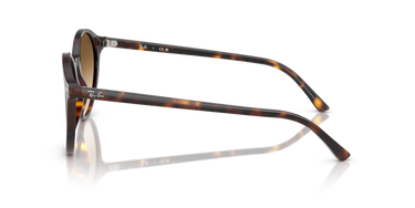 Ray-Ban Bernard RB2230 902/51 Havana