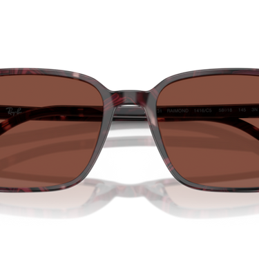 Ray-Ban Raimond RB2231 1416C5 Transparant Violet & Rood