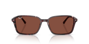 Ray-Ban Raimond RB2231 1416C5 Transparant Violet & Rood