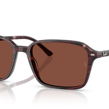 Ray-Ban Raimond RB2231 1416C5 Transparant Violet & Rood