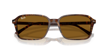 Ray-Ban Raimond RB2231 141833 Transparant Fantasie Bruin