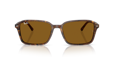 Ray-Ban Raimond RB2231 141833 Transparant Fantasie Bruin