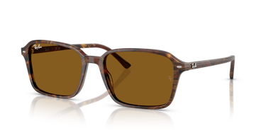 Ray-Ban Raimond RB2231 141833 Transparant Fantasie Bruin