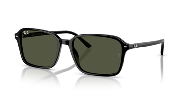 Ray-Ban Raimond RB2231 901/31 Zwart