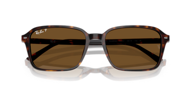 Ray-Ban Raimond RB2231 902/57 Havana