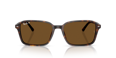 Ray-Ban Raimond RB2231 902/57 Havana