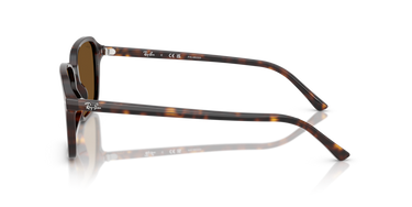 Ray-Ban Raimond RB2231 902/57 Havana