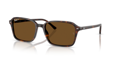 Ray-Ban Raimond RB2231 902/57 Havana