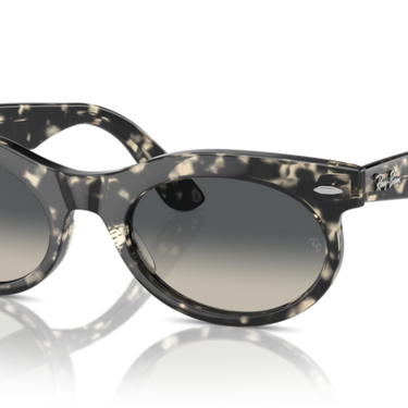 Ray-Ban Wayfarer Oval RB2242 133371 Grijs Havana