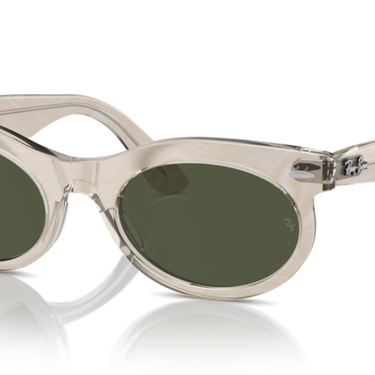 Ray-Ban RB2242 138331 Wayfarer Oval Photochroom Grijs