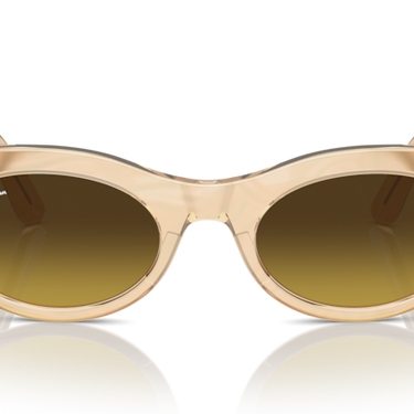Ray-Ban Wayfarer Oval RB2242 138685 Photochroom