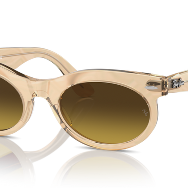 Ray-Ban Wayfarer Oval RB2242 138685 Photochroom