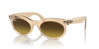 Ray-Ban Wayfarer Oval RB2242 138685 Photochroom