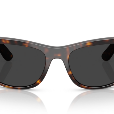 Ray-Ban Mega Balorama RB2289 902/48 Havana