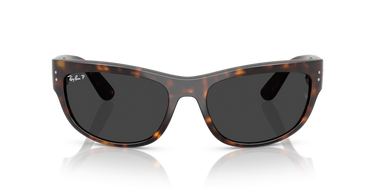 Ray-Ban Mega Balorama RB2289 902/48 Havana