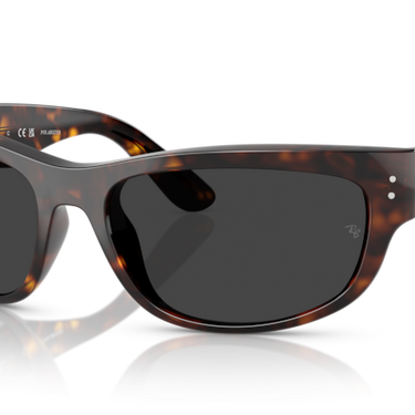 Ray-Ban Mega Balorama RB2289 902/48 Havana