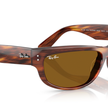 Ray-Ban Mega Balorama RB2289 954/33 Havana Gestreept
