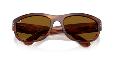 Ray-Ban Mega Balorama RB2289 954/33 Havana Gestreept