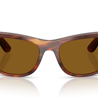 Ray-Ban Mega Balorama RB2289 954/33 Havana Gestreept