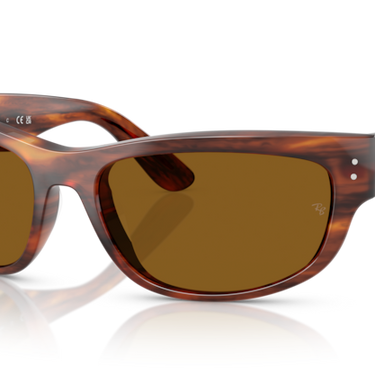 Ray-Ban Mega Balorama RB2289 954/33 Havana Gestreept