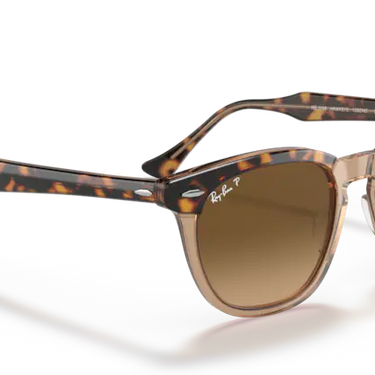 Ray-Ban Hawkeye RB2298 1292M2 Havana Transparent Brown