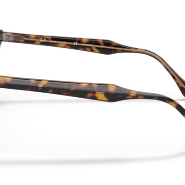 Ray-Ban Hawkeye RB2298 1292M2 Havana Transparent Brown