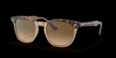 Ray-Ban Hawkeye RB2298 1292M2 Havana Transparent Brown