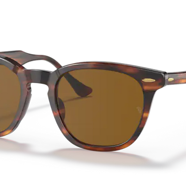Ray-Ban Hawkeye RB2298 954/33 Striped Havana