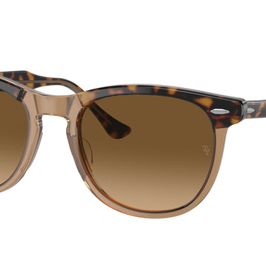 Ray-Ban Eagleeye RB2398 1292M2 Havana op transparant bruin