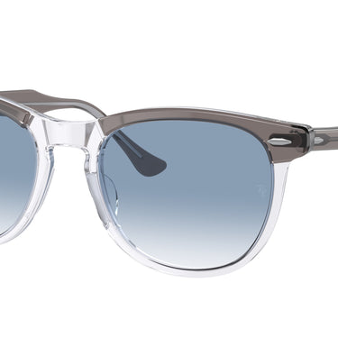 Ray-Ban Eagleeye RB2398 13553F Grijs op Transparant
