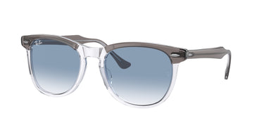 Ray-Ban Eagleeye RB2398 13553F Grijs op Transparant