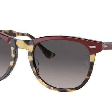 Ray-Ban Eagleeye RB2398 1377M3 Bordeaux op geel Havana