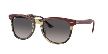 Ray-Ban Eagleeye RB2398 1377M3 Bordeaux op geel Havana