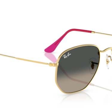Ray-Ban Hexagonal RB3548-N 001/71 Goud