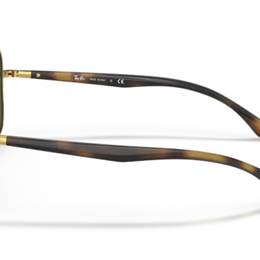 Ray-Ban RB3683 001/31 Gold Havana