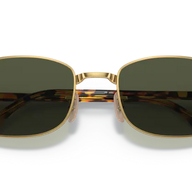 Ray-Ban RB3690 001/31 Gold Yellow Havana