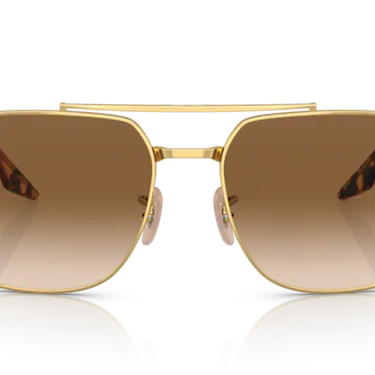 Ray-Ban RB3699 001/51 Gold Yellow Havana