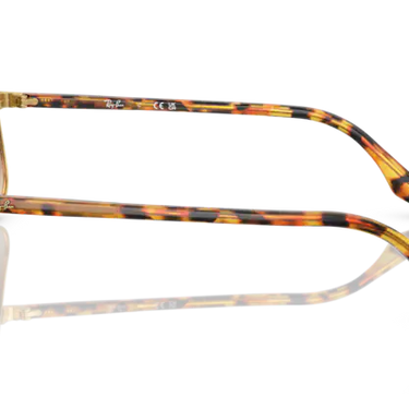Ray-Ban RB3699 001/51 Gold Yellow Havana