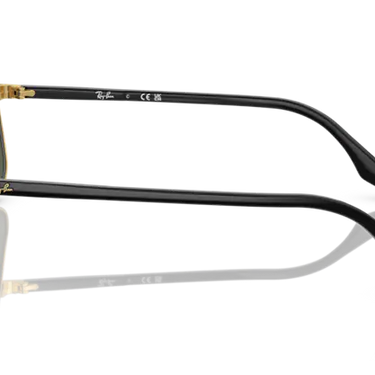 Ray-Ban RB3699 900031 Black on Gold