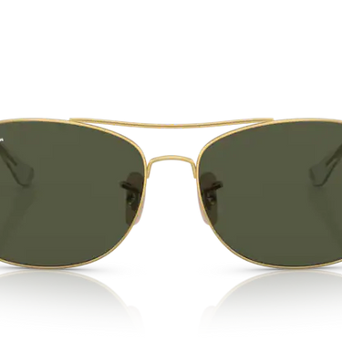 Ray-Ban RB3799 001/31 Gold