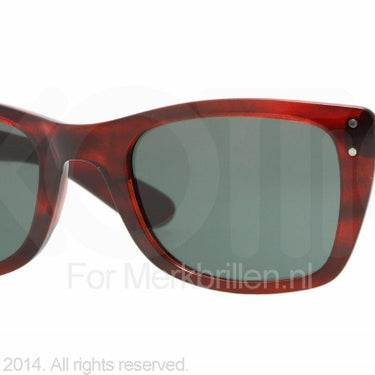 Ray-Ban Zonnebril RB4148 Bruin, rood-Groen