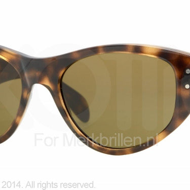 Ray-Ban Vagabond RB4152 Light havana crystal brown polarized