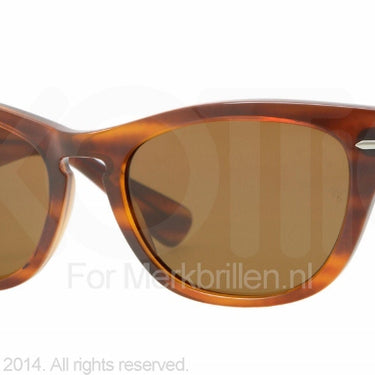 Ray-Ban Zonnebril RB4169 Havana-Bruin
