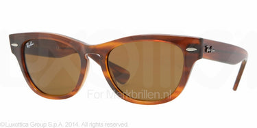 Ray-Ban Zonnebril RB4169 Havana-Bruin