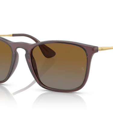 Ray-Ban Chris RB4187 6594T5 Transparant Bruin