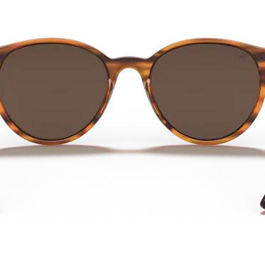 Ray-Ban RB4305 820/73 Red Striped Havana