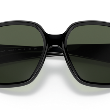 Ray-Ban Powderhorn RB4347 601/71 Black