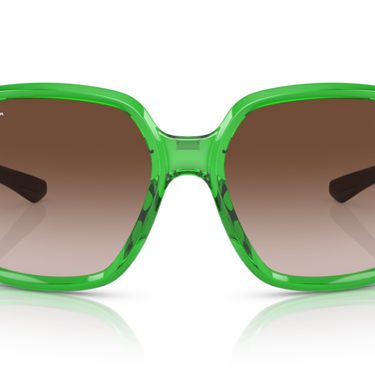 Ray-Ban Powderhorn RB4347 666113 Transparent Green