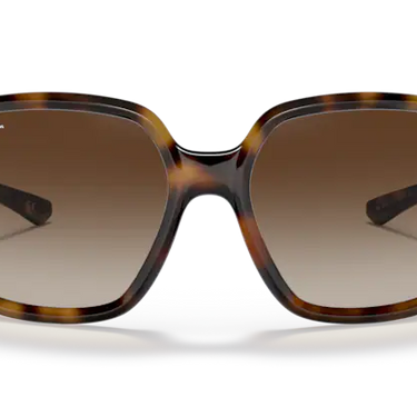 Ray-Ban Powderhorn RB4347 710/13 Havana